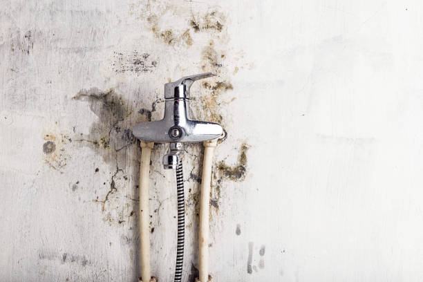 Best Mold Remediation for Specific Building Types in Modesto, CA