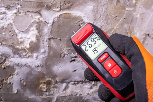 Best Commercial Mold Remediation in Modesto, CA